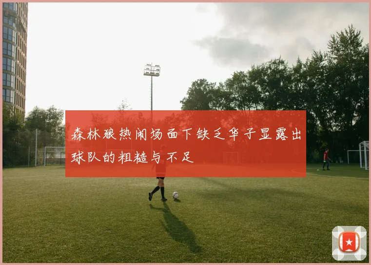 森林狼热闹场面下缺乏华子显露出球队的粗糙与不足